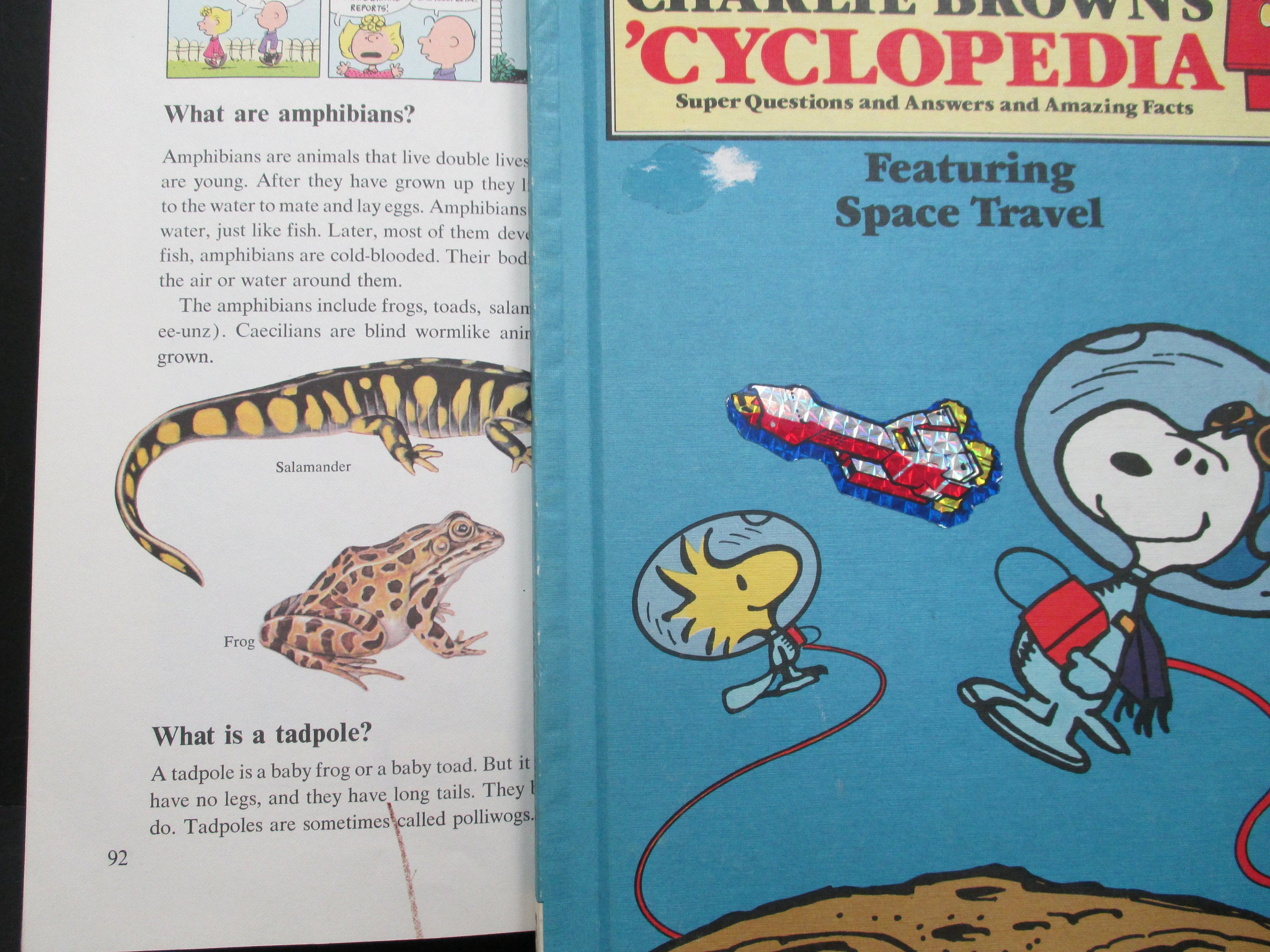 チャーリーブラウンサイクロペディア15巻（英語） Charlie Brown's 'Cyclopedia Complete 15 Volume Set: Based on