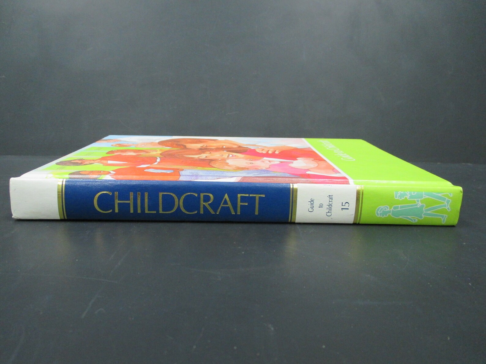 Vintage Childcraft the How and Why Library Book Guide to - Etsy