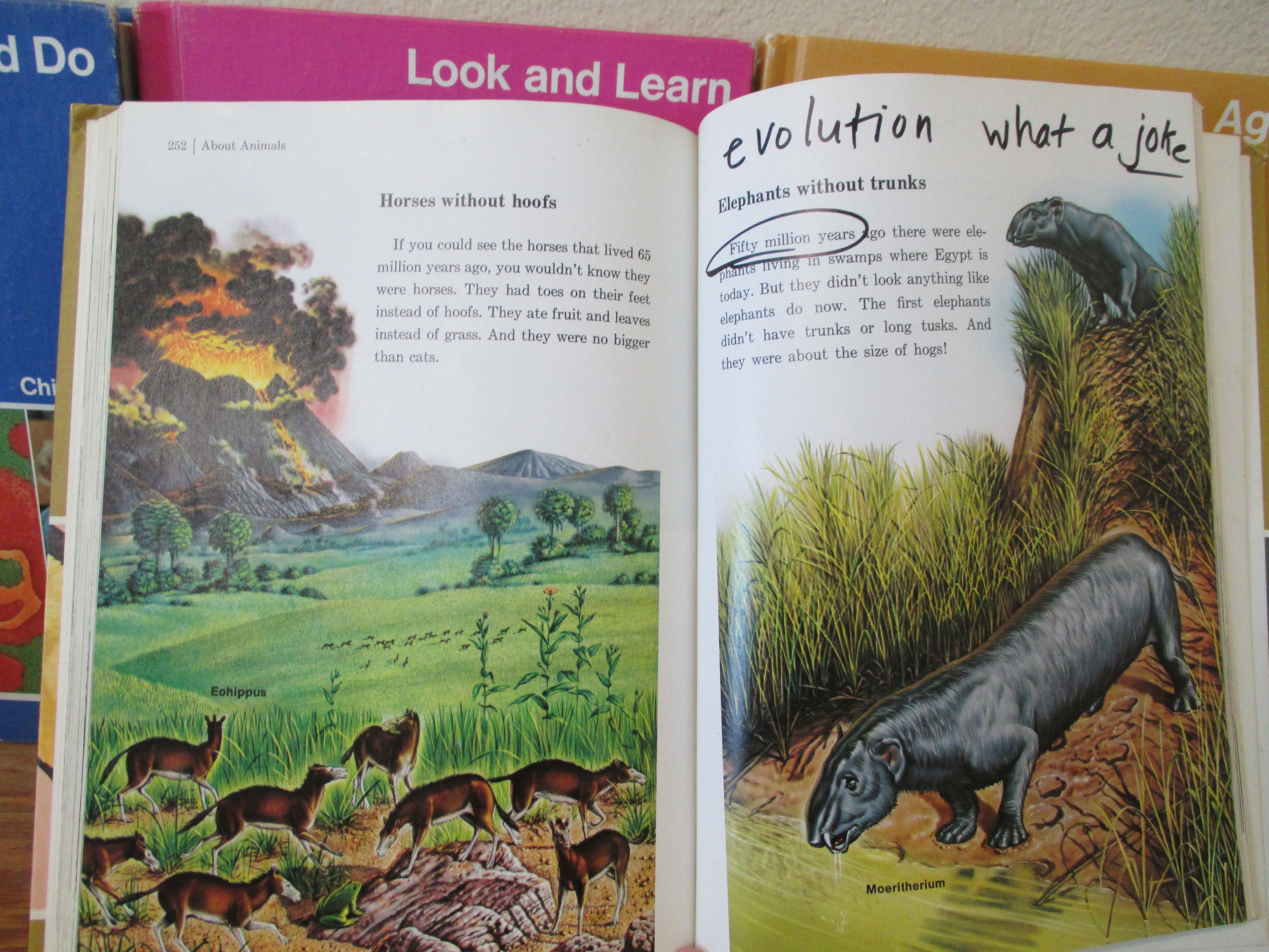 Vintage 1976 Childcraft Book Set, the How and Why Library Volume 1-15, Plus 3 Annual Books, Educational Book Set, Secondmousefinds - Etsy Vintage 1976 Childcraft Book Set, the How and Why Library Volume 1-15, Plus 3 Annual Books, Educational Book Set, Secondmousefinds - Etsy