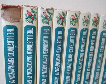 Grzimek's Animal Life Encyclopedia, 17 Volumes Set: Bernhard