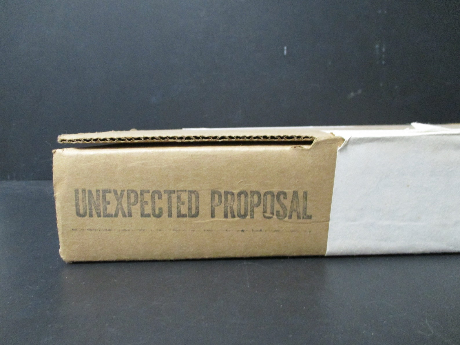 Vintage Decorative Plate the Unexpected Proposal Norman - Etsy