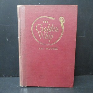 The Golden Wipe by Abe Brouwer, Vintage Hardcover from 1947, SecondMouseFinds