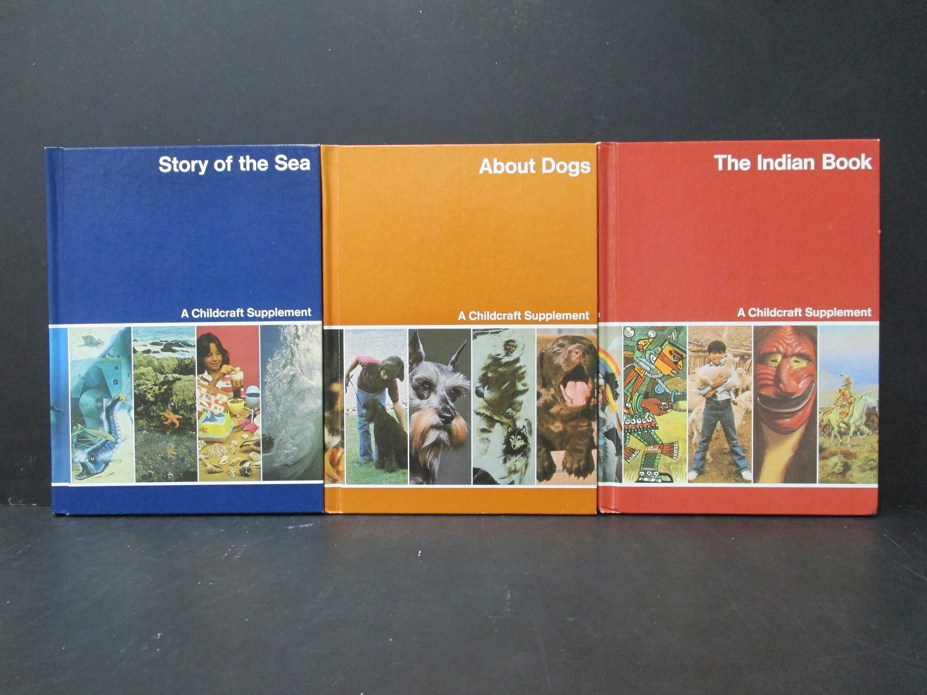 Vintage Childcraft Books Set of 6 1981 Annual and Supplement Volumes ...