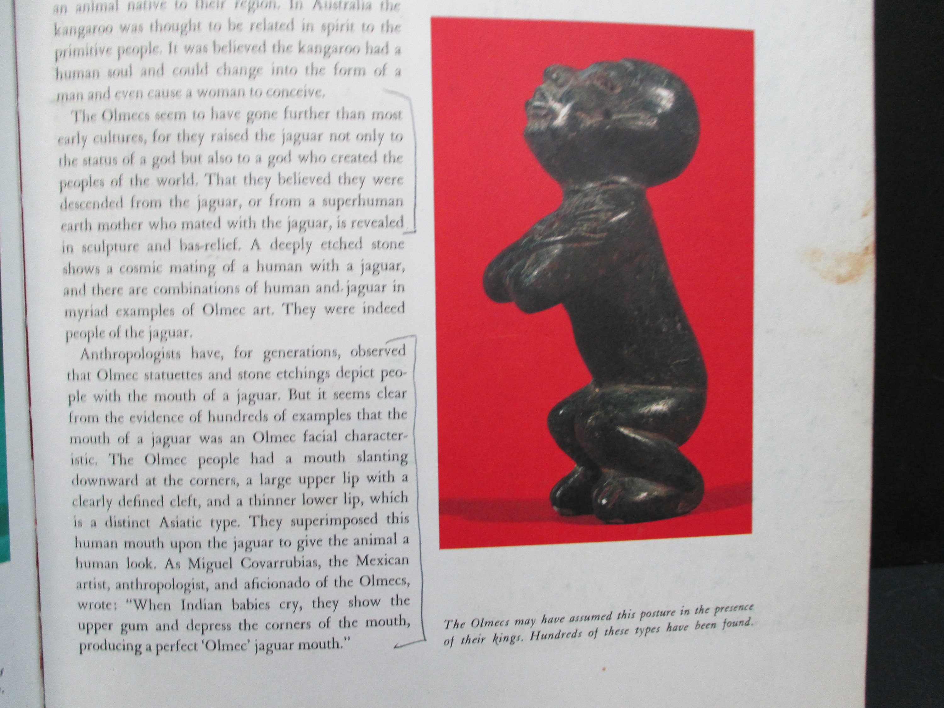 アート・デザイン・音楽 Mexico: A History in Art アート・デザイン