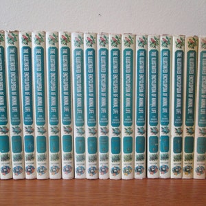The Illustrated Encyclopedia Of Animal Life The Animal Kingdom Mammals Birds Fishes Insects, SecondMouseFinds