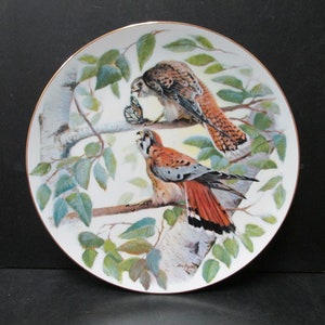 Vintage Decorative American Falcon Plate, Nature&#39;s Heritage Collection, Plate VIII, SecondMouseFinds