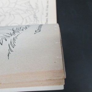 May include: Close-up of the spine of a book with the text "Christmas" printed on the cover.