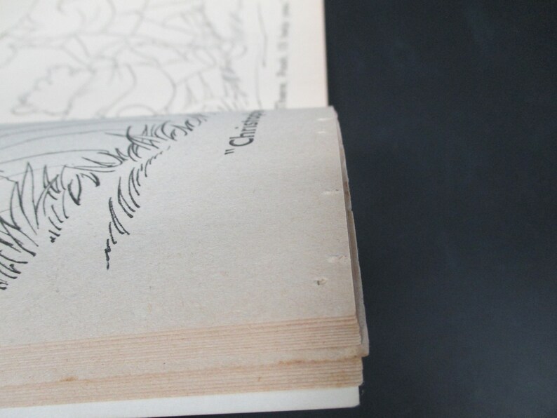 May include: Close-up of the spine of a book with the text "Christmas" printed on the cover.