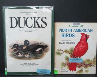 100年前の古書希少1923年Birds and their young