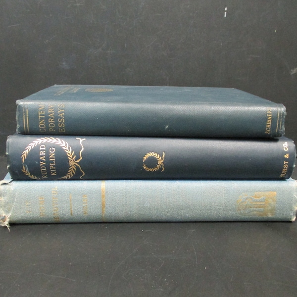 Vintage Blue Hardcover Book Set, Collection of Three Decorative Blue Books, SecondMouseFinds