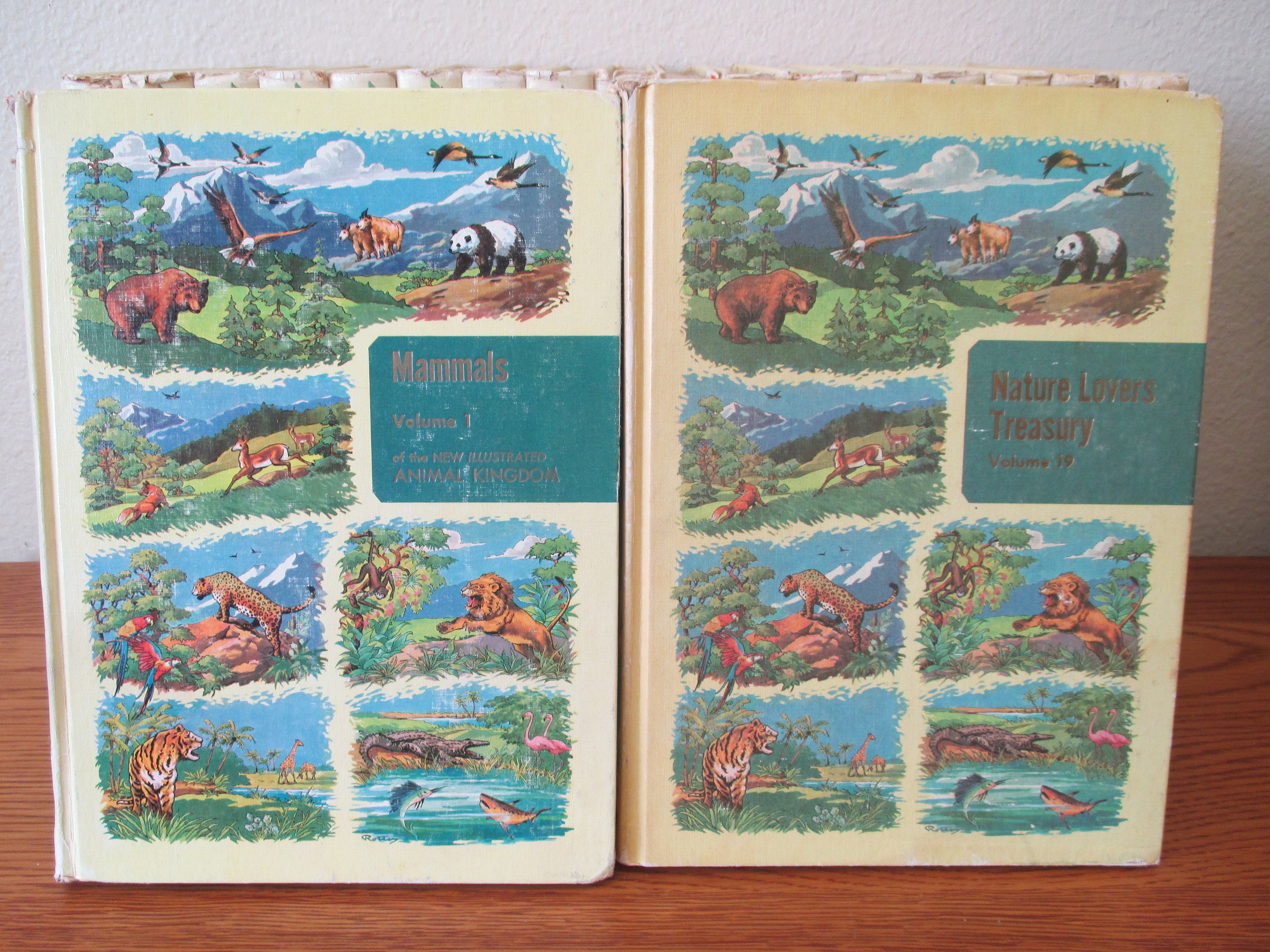 The Illustrated Encyclopedia of Animal Life the Animal