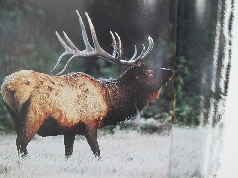 North American Hunting Club Elk Essentials Hunting Wisdom Etsy