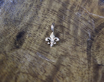 Tiny Baby Child Petite 14k yellow gold Fleur de Lis pendant charm