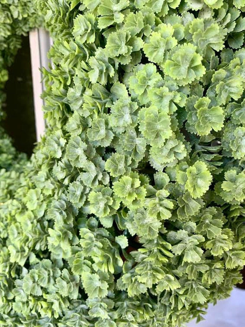 Spring Wreath Wreath Spring Wreath Front Door Wreath Wreaths Mothers Day Greenery Wreath Farmhouse Decor Farmhouse Wreath
