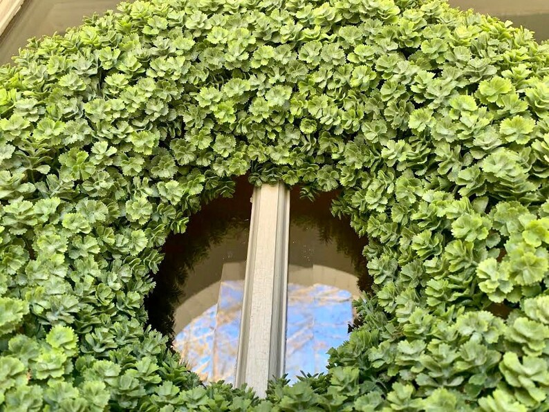 Spring Wreath Wreath Spring Wreath Front Door Wreath Wreaths Mothers Day Greenery Wreath Farmhouse Decor Farmhouse Wreath