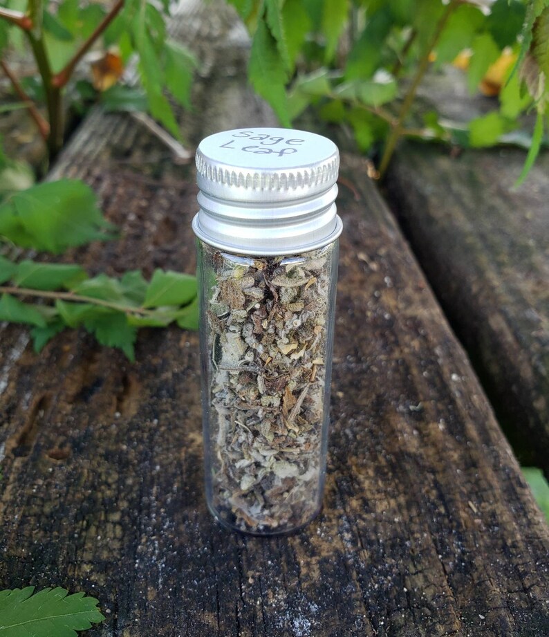 Dried Sage Leaf Dried Herbs Purification Apothecary Witch Etsy