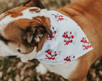 Watercolor Painted Vintage UofL Cardinal Dog Bandanna Collar Slide | Waterproof Pet Bandannas | Custom Printed Art Fabric | Pet Accessories
