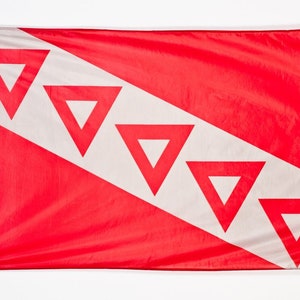 Tau Kappa Epsilon Flag