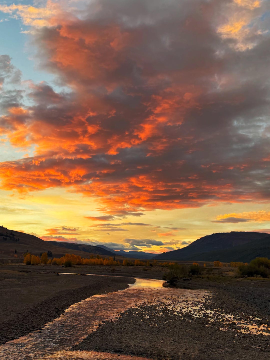 Yellowstone Rising Sun Sunrise in Yellowstone—where Every Morning Feels Like the First Step ...