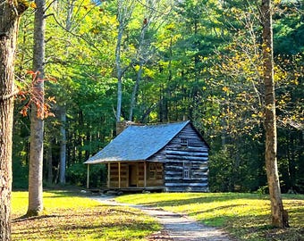 May include: A rustic log cabin with a dark wood exterior and a gabled roof sits nestled in a dense forest. A dirt path leads toward the front porch of the structure, which features a chimney and small windows, surrounded by tall green trees.