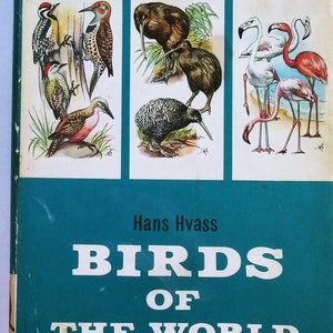Birds Of The World by Hans Hvass, Vintage bird book, Birds Of The World, Bird Book, Books on Birds, Vintage Bird Species, Hans Hvass