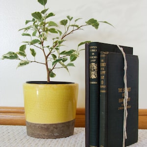 Vintage Book Bundle, Antique Books, Book Bundle Home Décor, Home Library, Classical Literature Antique Books, Book Bundle Decor,