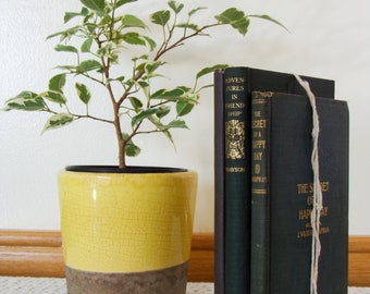 Antique Book Bundle, Early 1900s Home Decor