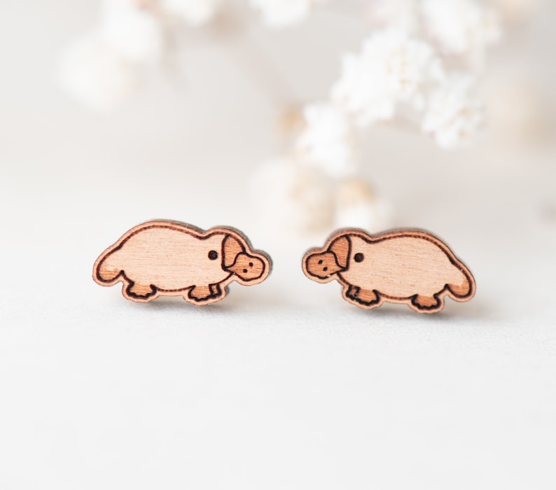 Handmade Wooden Earrings Cute Platypus Earrings Womens Stud Earrings Gift image 1