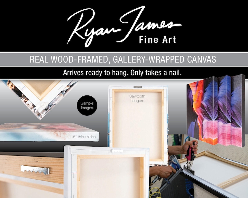 The image is an advertisement for Ryan James Fine Art, showcasing a collection of real wood-framed, gallery-wrapped canvas prints. The text highlights the quality of the artwork, stating that it arrives ready to hang and only takes a nail to hang. The image includes a sample of the artwork and a person hanging one of the prints.