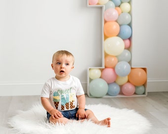 Sweet One Ice Cream Birthday Shirt, Boys First Birthday