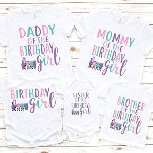 Family pastel train birthday shirts, transportatio birthday shirt, train party, girl birthday party, choo choo, matching birthday