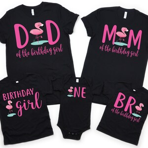 Flamingo birthday shirts, family matching shirts, flamingo birthday, flamingo theme party, flamingo 1st, girl birthday shirt, 1st birthday