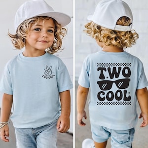 Two Birthday Shirt, Boys Second Birthday Party Tee