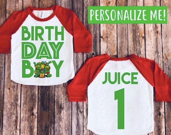 Teenage mutant ninja turtle birthday shirt, TMNT shirt, TMNT birthday, teenage mutant ninja turtles, custom TMNT raglan, turtles party