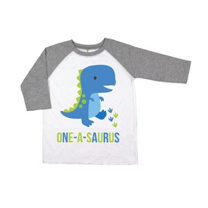 Dinosaur Boys 1st One-a-saurus Birthday Shirt, Dinosaur Birthday ...