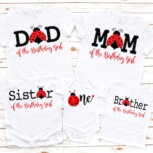 Family matching ladybug girl birthday shirts, birthday girl shirt, ladybug birthday party, 1st birthday shirt, 1st birthday day party