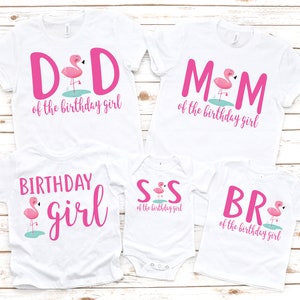 Flamingo birthday shirts, family matching shirts, flamingo birthday, flamingo theme party, flamingo 1st, girl birthday shirt, 1st birthday