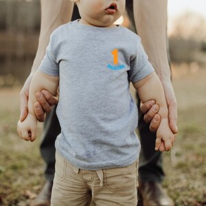 One in the Sun, beach birthday shirt, pool birthday , beach theme party, boy birthday shirt, 1st birthday shirt, Pool party boys birthday GRAY