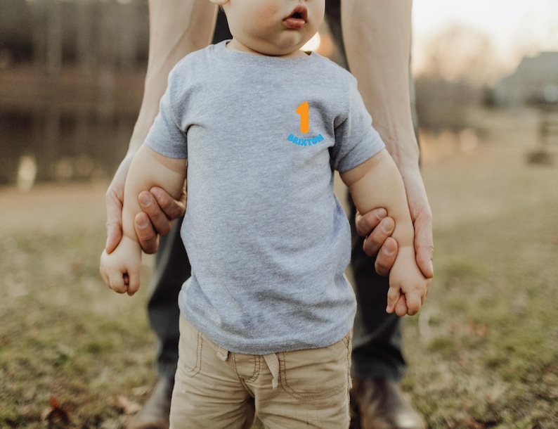 One in the Sun, beach birthday shirt, pool birthday , beach theme party, boy birthday shirt, 1st birthday shirt, Pool party boys birthday GRAY