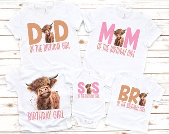 Cow birthday shirt, highland cow shirt, farm birthday, cow theme birthday party, moo moo I'm two, 2nd birthday shirt, girl birthday shirt