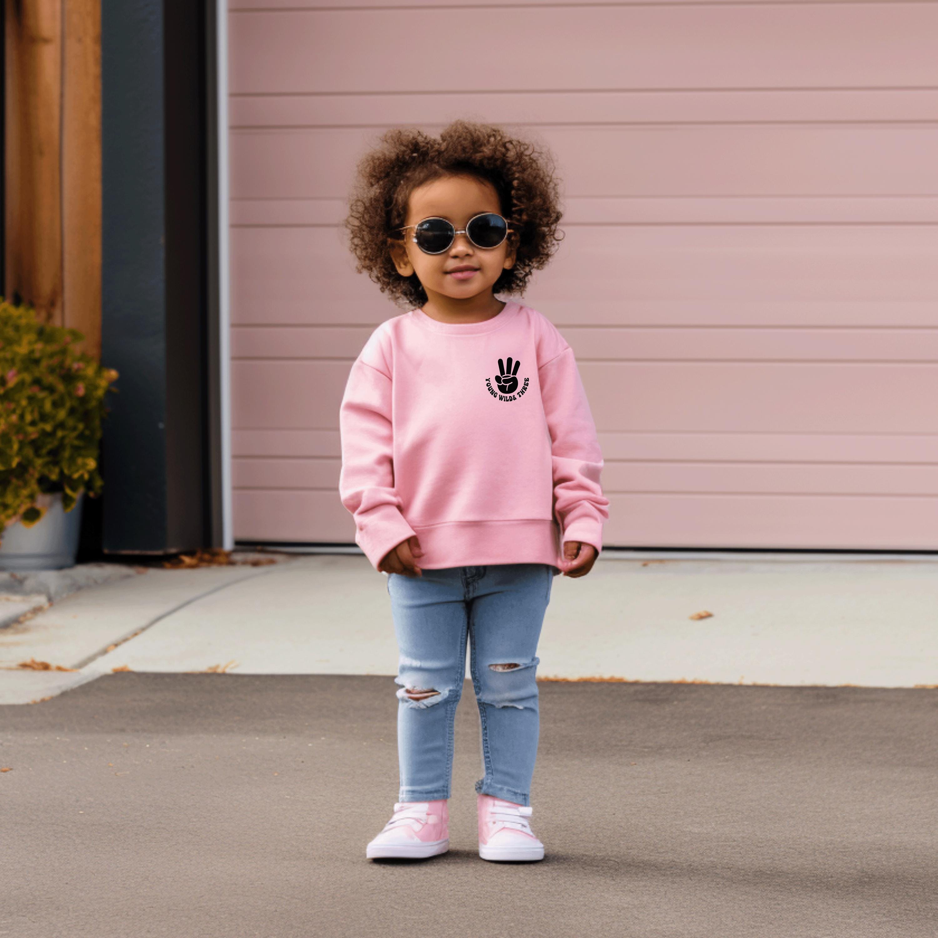 Young wild and three, Boys 3rd third birthday, birthday sweatshirt, boy birthday shirt, 3 year old birthday shirt, 3rd birthday gift boy