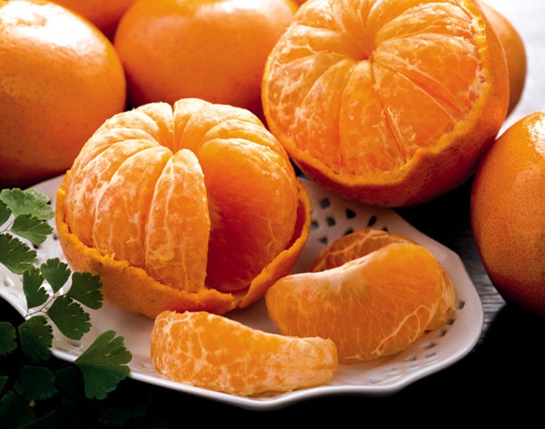 SEEDS Dwarf ponkan Chinese Mandarin citrus Reticulate Etsy