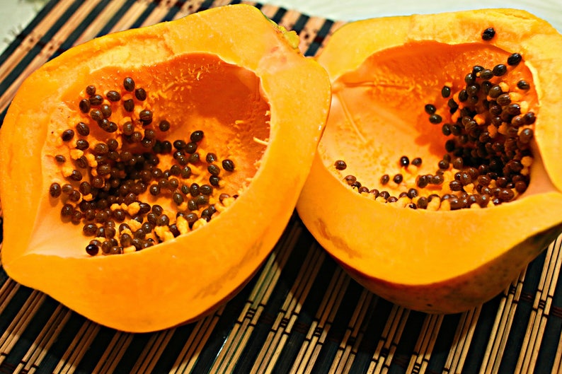 SEEDS Dwarf Honey Dew Papaya Tree Easy Grow Indoor Etsy