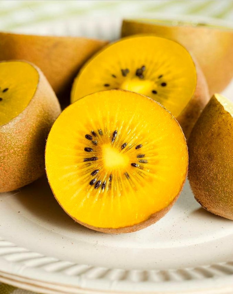 South Africa gets all fruity about the kiwi Freight News