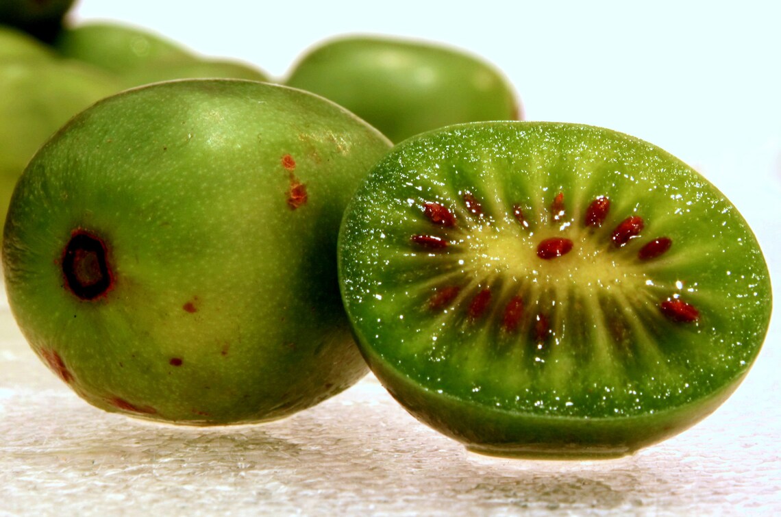SEEDS Very Hardy Kiwi arctic Beauty Grape Size Kiwiberry Etsy UK