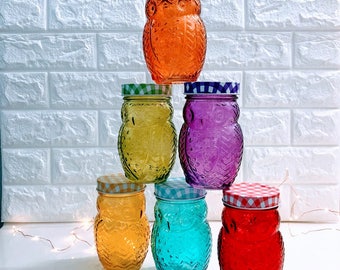 Colored Glass Owl Mason Jars | Crafting | Candles | Storage