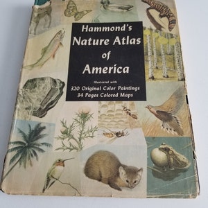 Atlas de la nature de l’Amérique Hammond 1952 dur couverture livre w/Dust Jacket 320 orig couleur peintures 34 PGS couleur