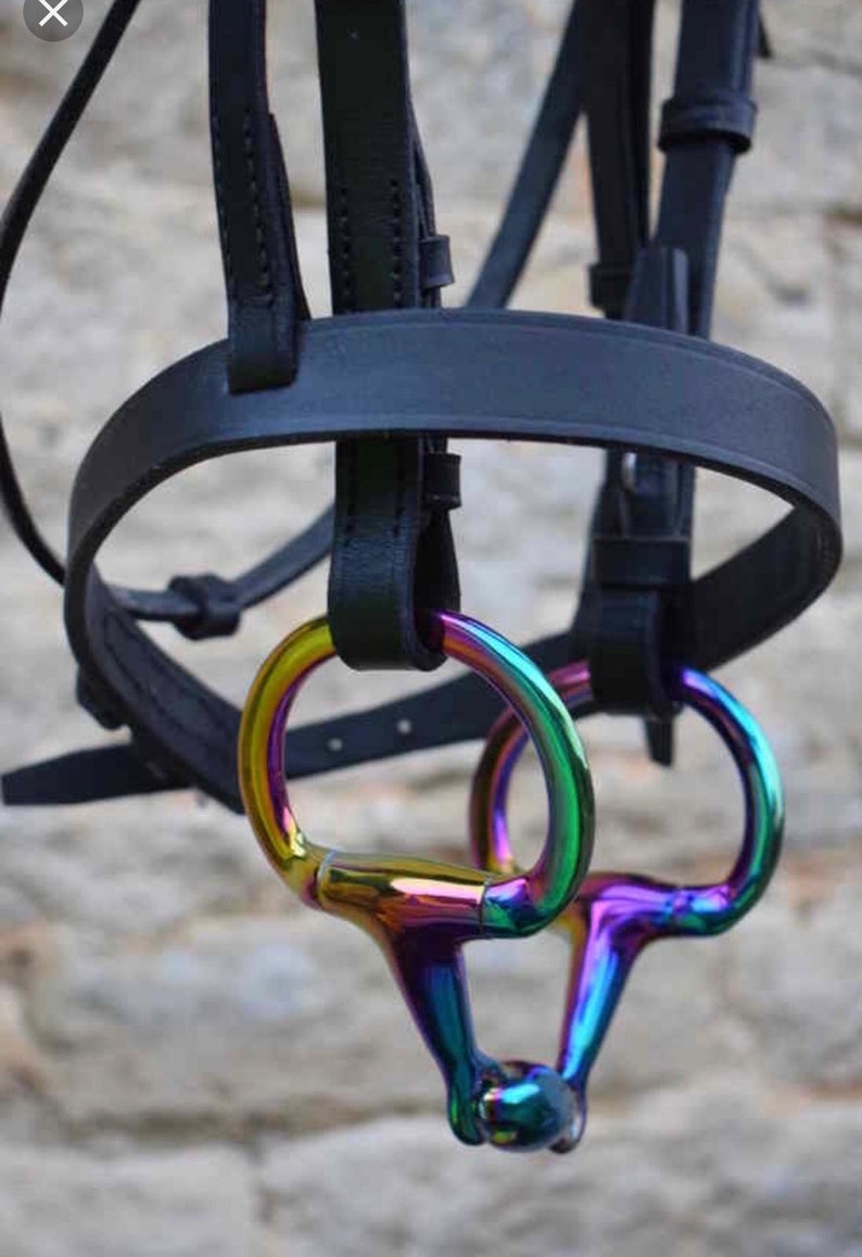 Rainbow Multi Color EGGBUTT Snaffle Horse Bit Lozenge Fat Double Joint Oval Link Stainless Steel
