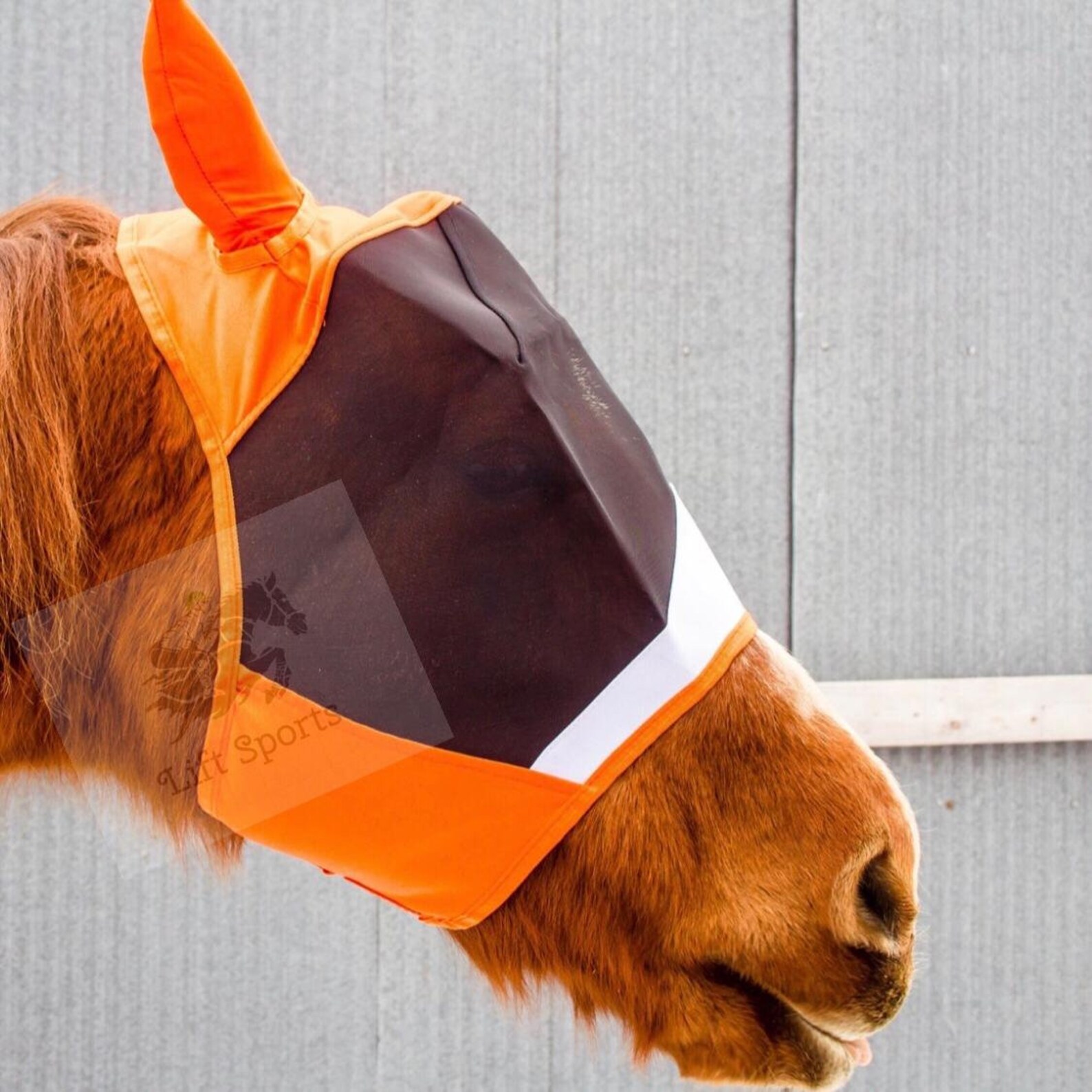 Horse Fly Mask With Ears 5 Colors Stretchable Ears Air Flow Etsy