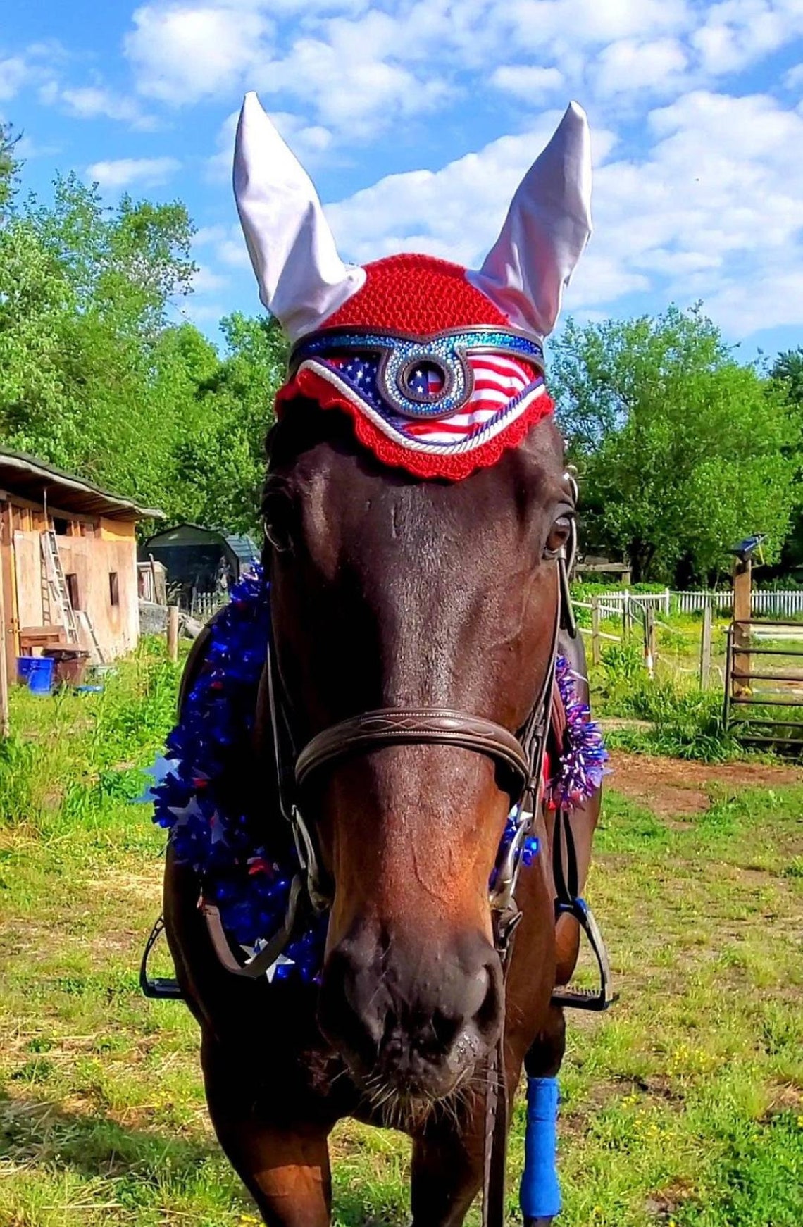 USA American Flag Horse Fly Ear Net Veil Hood Mask Etsy